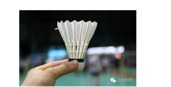 2024年新澳门精准免费大全