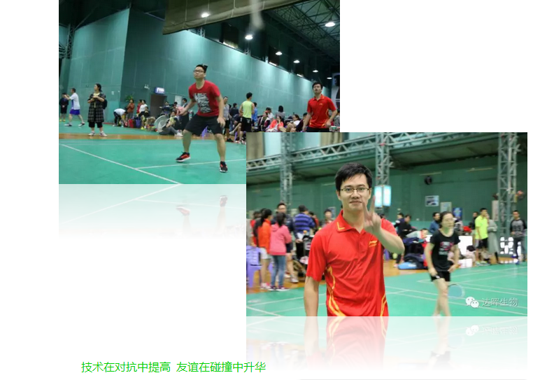 2024年新澳门精准免费大全