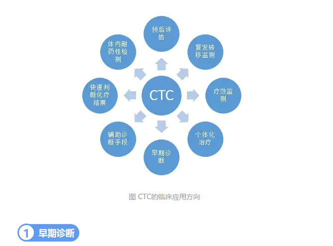 2024年新澳门精准免费大全