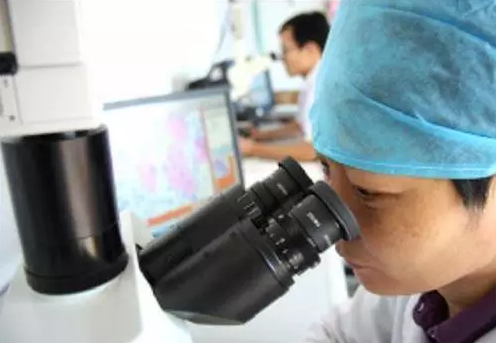 2024年新澳门精准免费大全