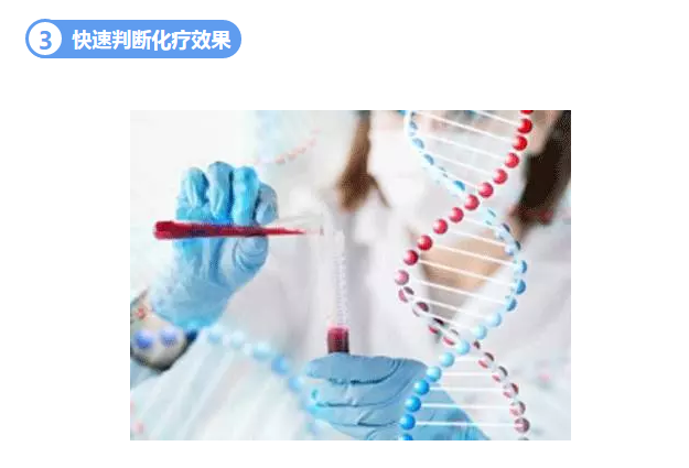 2024年新澳门精准免费大全