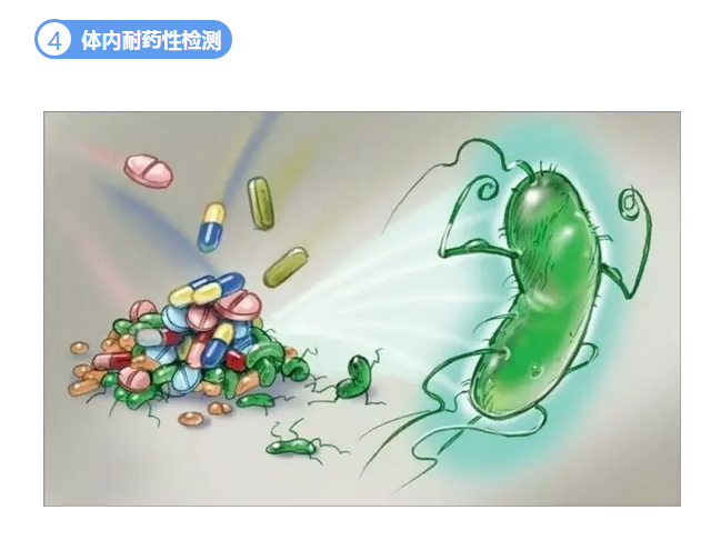 2024年新澳门精准免费大全