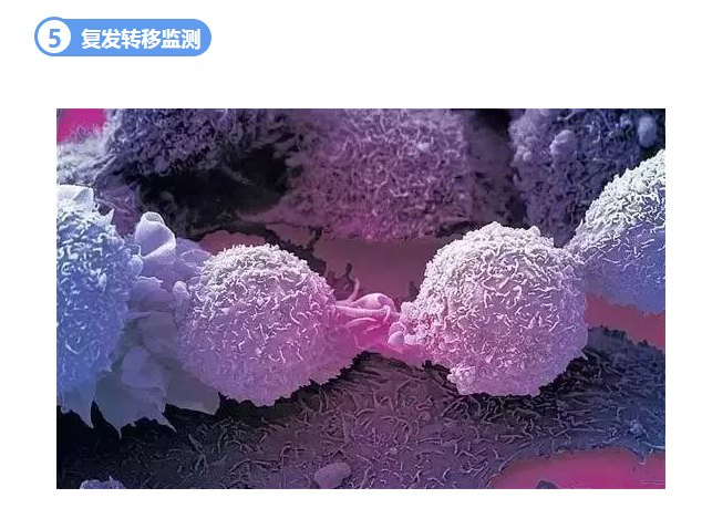 2024年新澳门精准免费大全