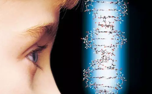 2024年新澳门精准免费大全