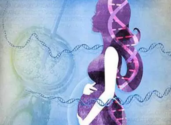 2024年新澳门精准免费大全