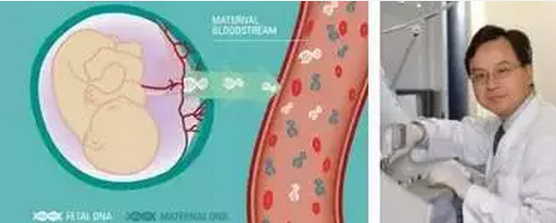 2024年新澳门精准免费大全