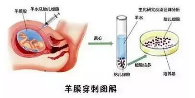 2024年新澳门精准免费大全