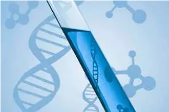 2024年新澳门精准免费大全