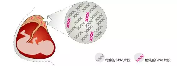 2024年新澳门精准免费大全