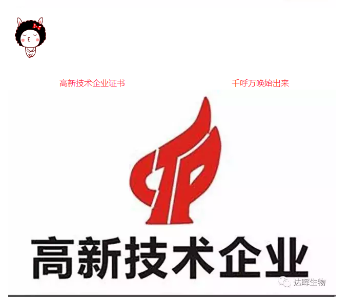 2024年新澳门精准免费大全