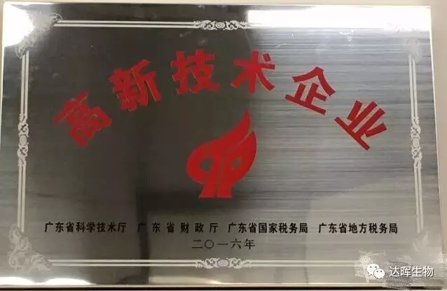 2024年新澳门精准免费大全