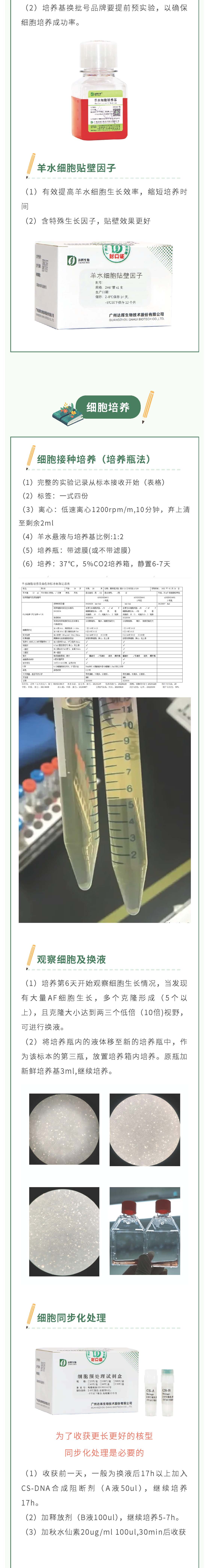 2024年新澳门精准免费大全