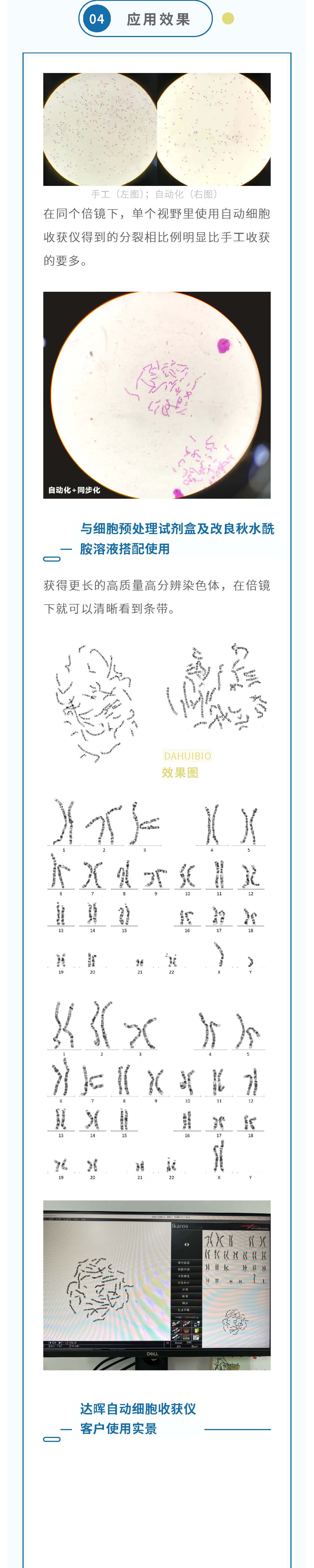 2024年新澳门精准免费大全