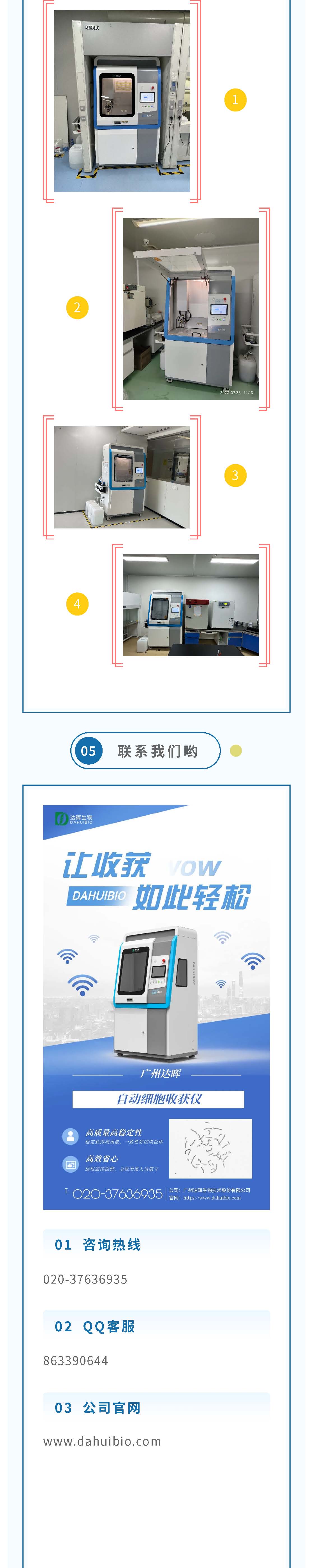 2024年新澳门精准免费大全