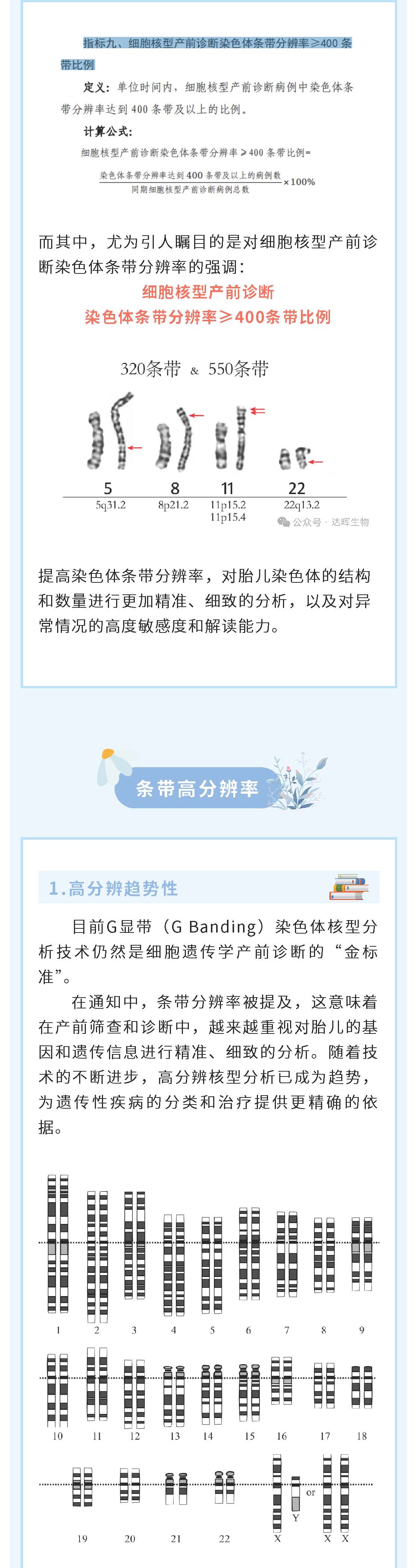 2024年新澳门精准免费大全