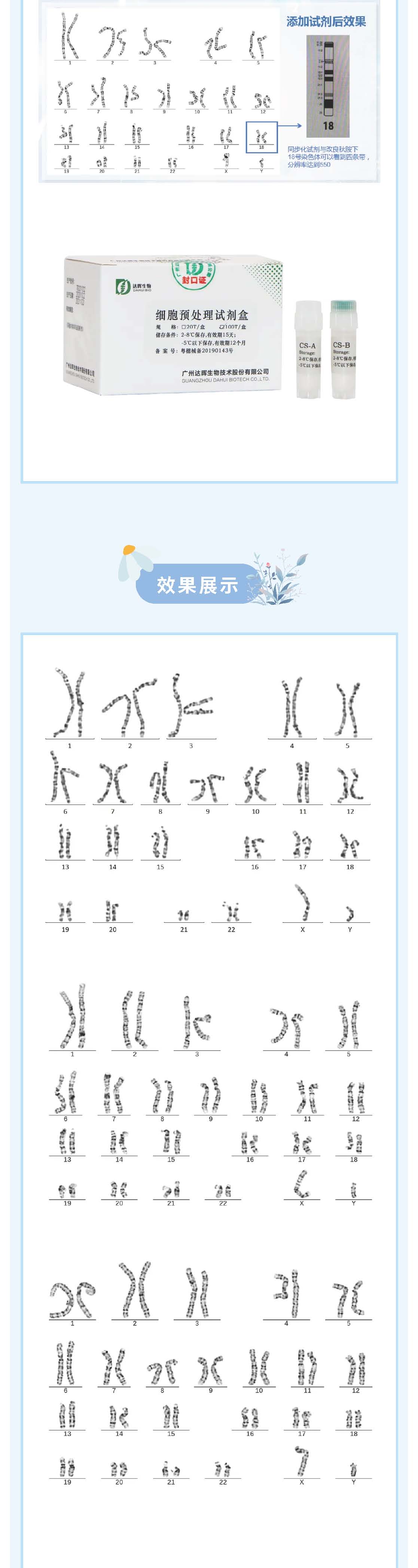 2024年新澳门精准免费大全