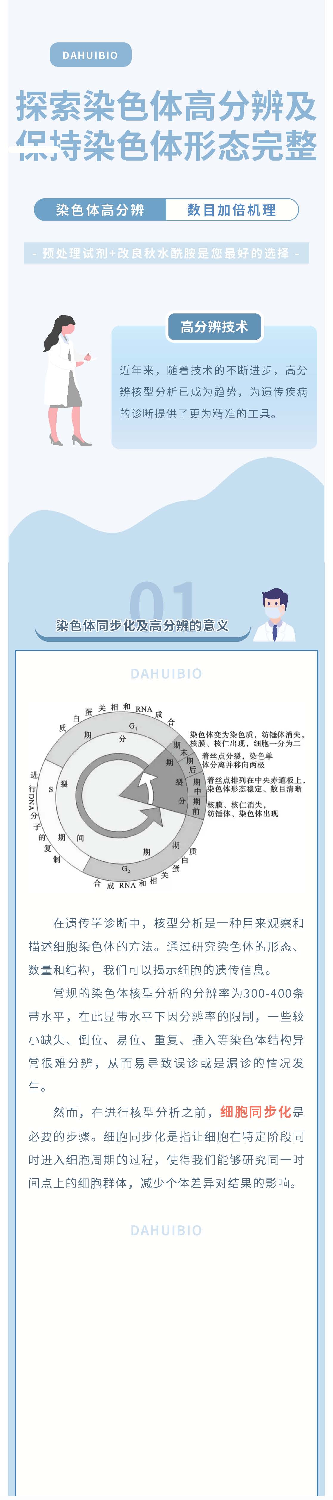 2024年新澳门精准免费大全