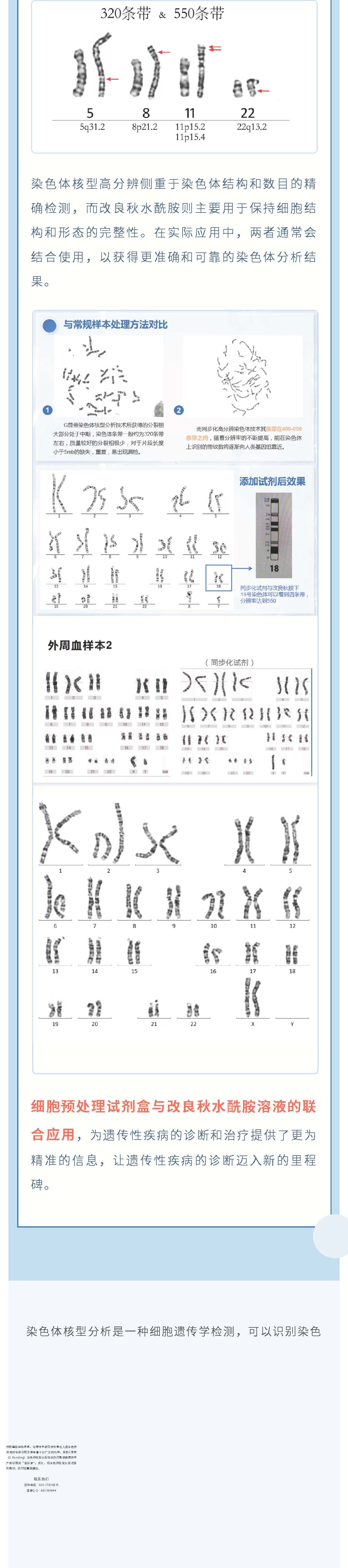 2024年新澳门精准免费大全