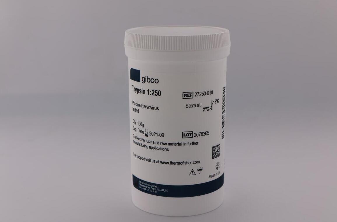 2024年新澳门精准免费大全