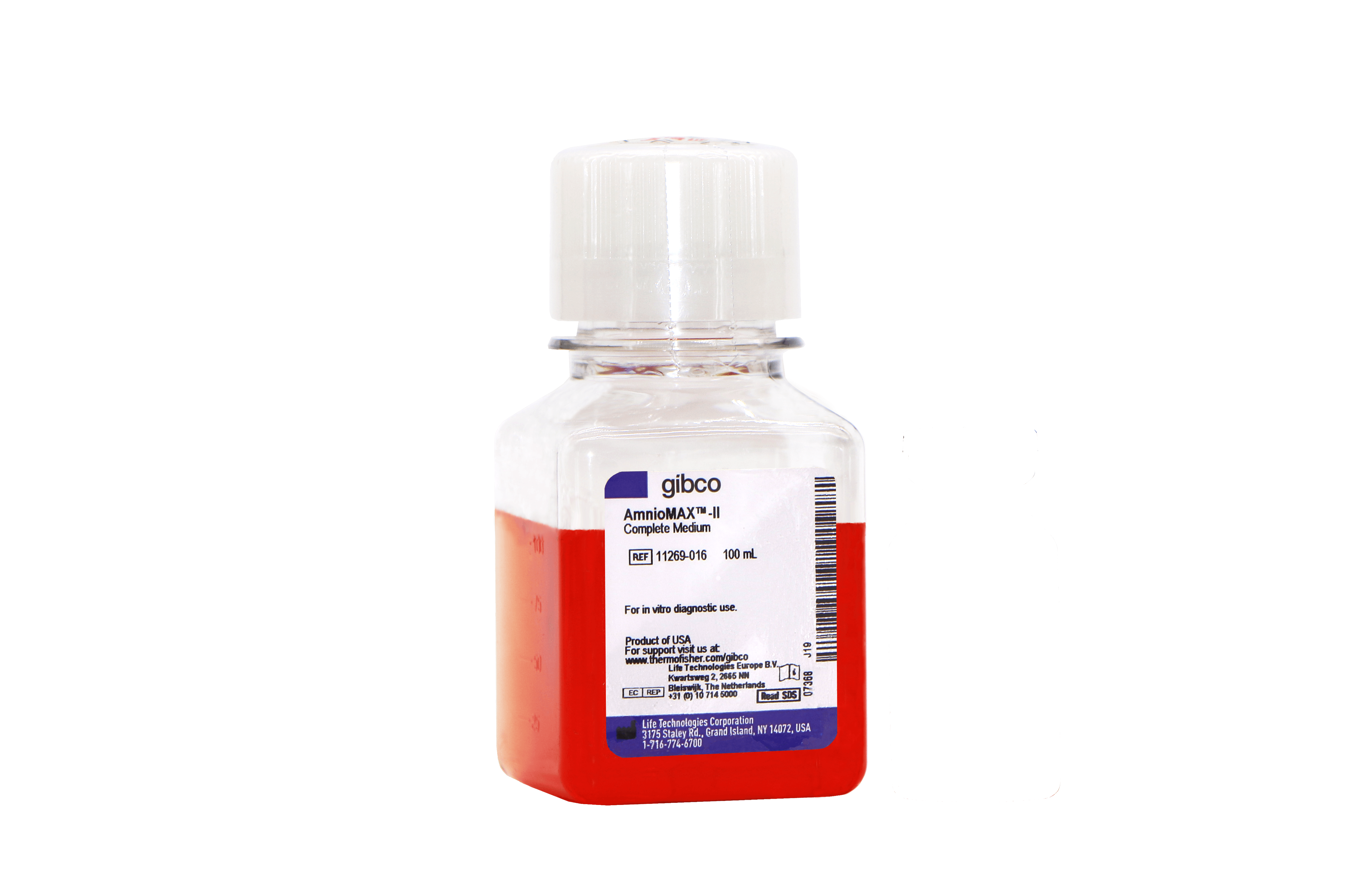 2024年新澳门精准免费大全