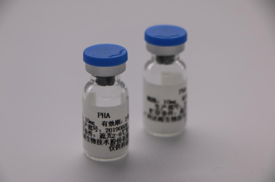 2024年新澳门精准免费大全