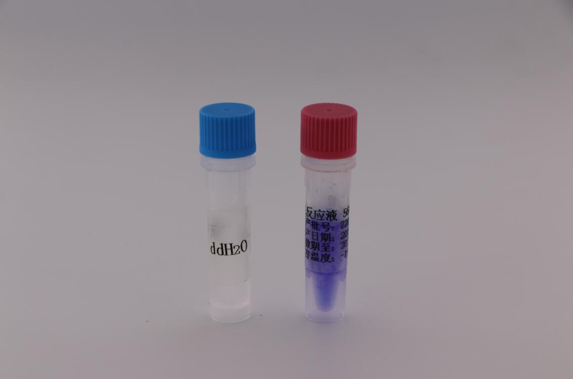 2024年新澳门精准免费大全