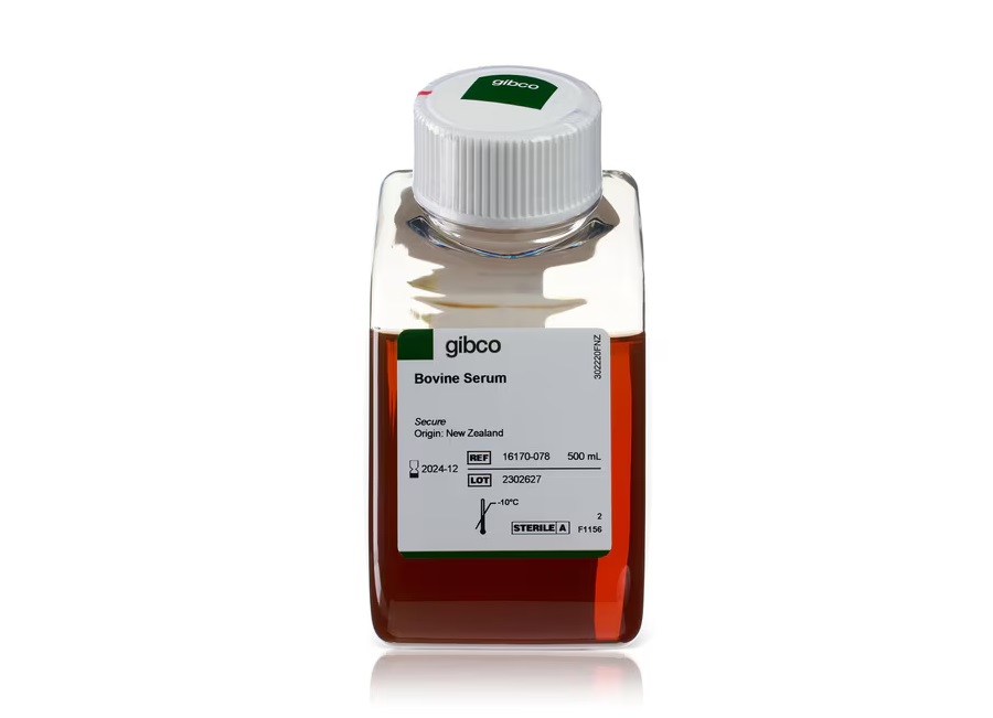 牛血清，新西兰来源