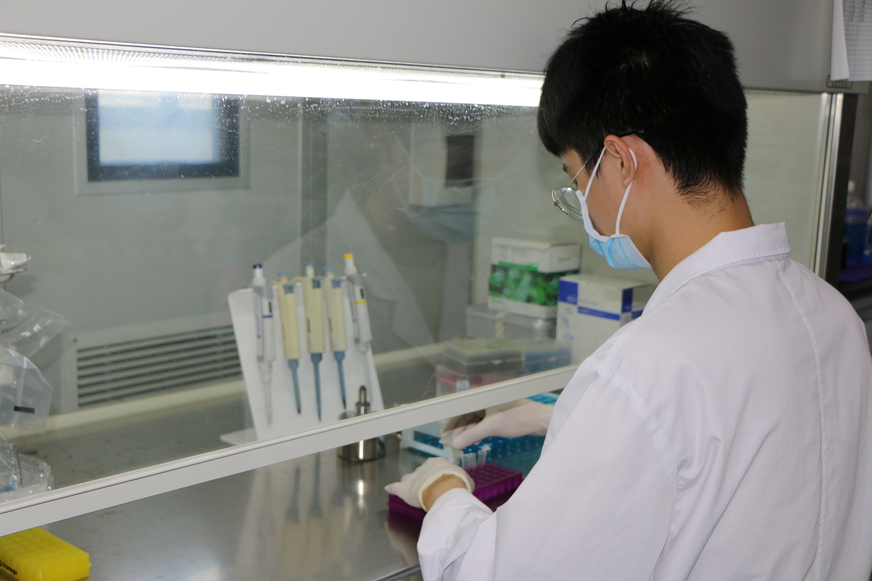 精准产前诊断的黄金搭档：达晖双剑合璧，染色体核型分析质效双升！